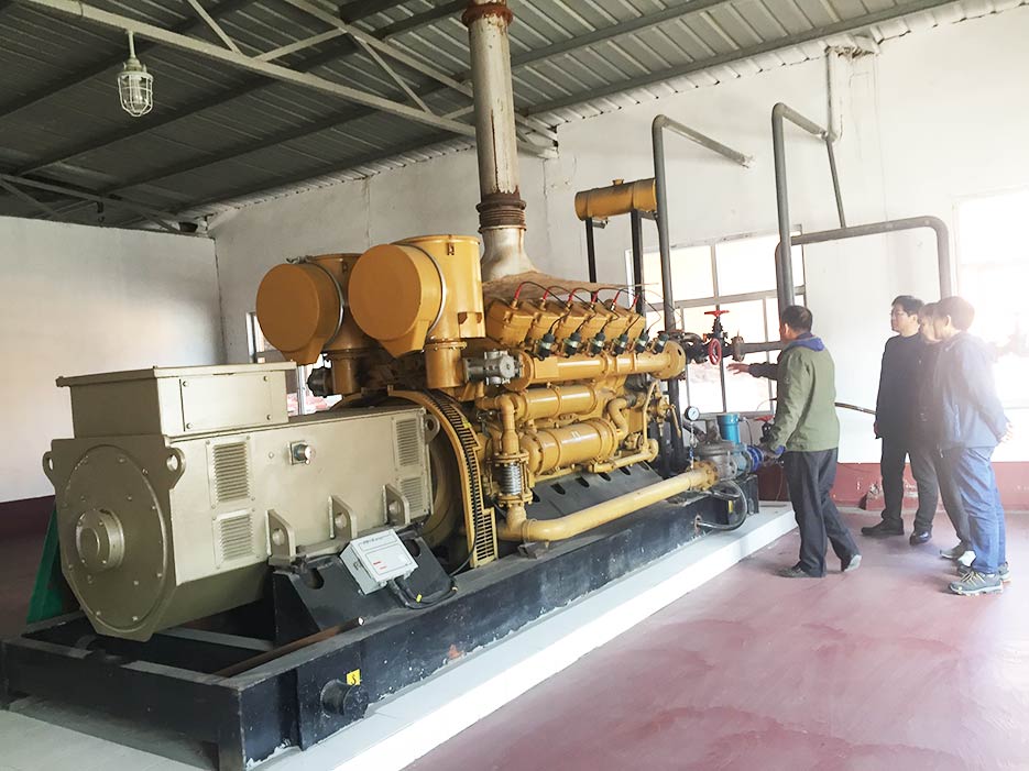 餐廚垃圾沼氣發（fā）電機組