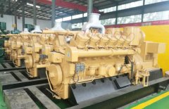 垃圾填埋氣發電（diàn）機組（zǔ）