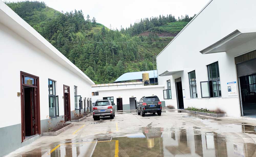 貴州省盤縣（xiàn）瓦斯發電（diàn）項目