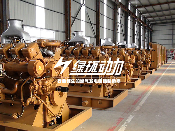 有機廢水（shuǐ）沼（zhǎo）氣發電機組