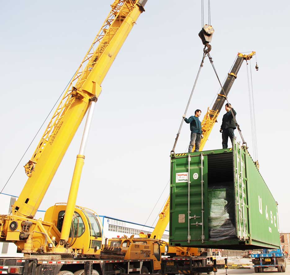 熱烈慶祝我司6台500KW生物（wù）質發電機組出口（kǒu）意大（dà）利