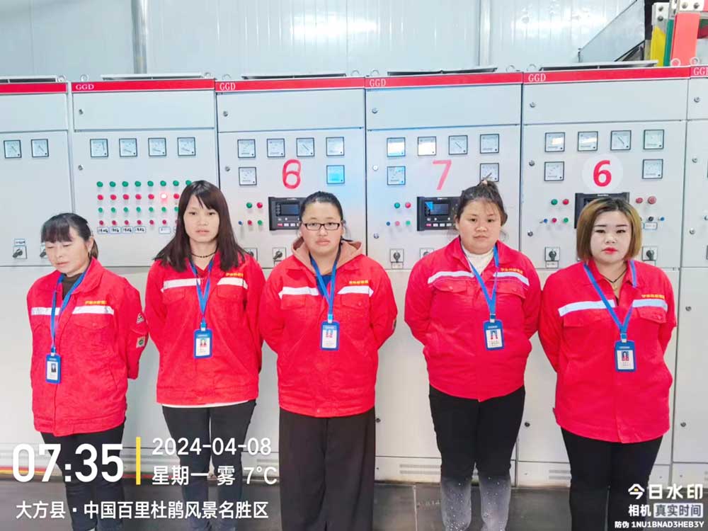 貴州(zhōu)鵬程瓦斯發電項目