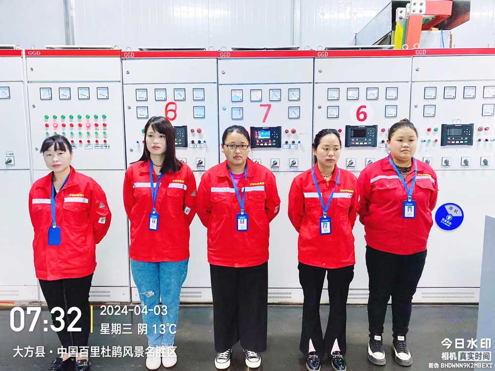 貴州鵬程瓦(wǎ)斯發電項目