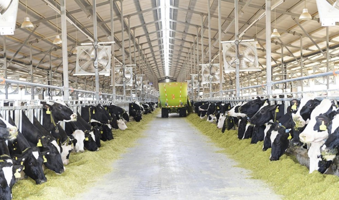 蘇墾優然(rán)牧業沼氣發電(diàn)項目並(bìng)網(wǎng)發(fā)電