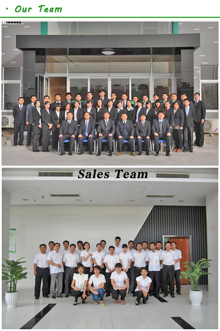 山東（dōng）香蕉草莓丝瓜向日葵视频18動力（lì）1MW沼氣發電機組發往越南（nán）