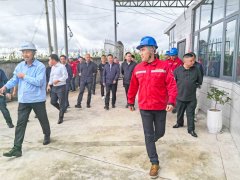 雲南省市領導視察香蕉草莓丝瓜向日葵视频18（huán）旗下大