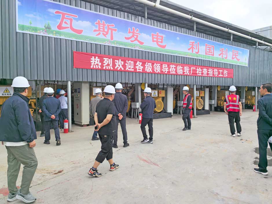 雲南省市領導視察香蕉草莓丝瓜向日葵视频18旗下大海子(zǐ)瓦斯發電電站